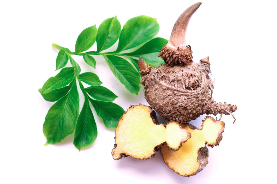 gomolji biljke konjac - sastav Reduslim