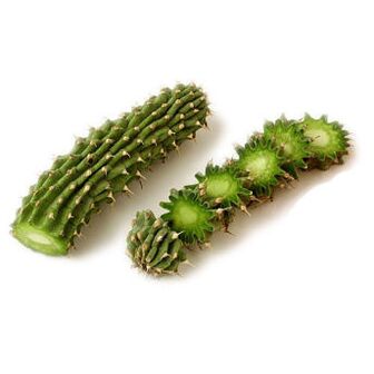hoodia gordonia - sastav Reduslim